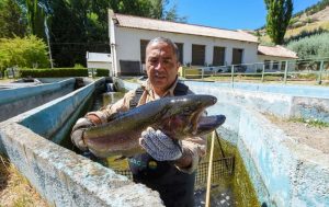 Cuarenta años de ciencia neuquina para conocer, cuidar y producir